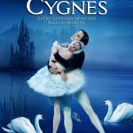 Spectacle Le Lac des Cygnes