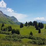 Le chemin des Tyroliennes