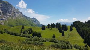Le chemin des Tyroliennes
