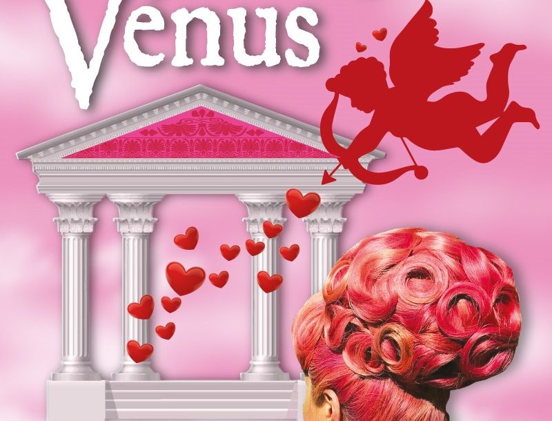 Le Brushing de Venus