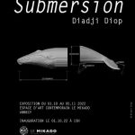 Les Méridiennes : visite commentée de l'exposition "Submersion"