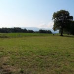 Walking loop : Les Etangs de Crosagny