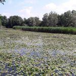 Walking loop : Les Etangs de Crosagny