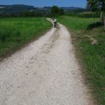 Walking loop : Les Etangs de Crosagny