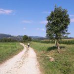 Walking loop : Les Etangs de Crosagny