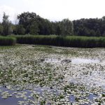 Walking loop : Les Etangs de Crosagny