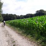 Walking loop : Les Etangs de Crosagny