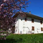 Tower Manor