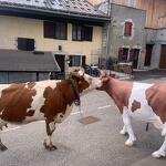 La Ferme de la Forclaz
