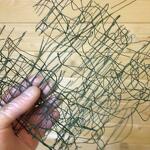 Spiruline des Bauges