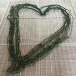Spiruline des Bauges