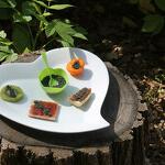 Spiruline des Bauges