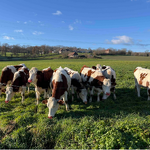 Petite boucle des Paysages des Lanches_Montagny-les-Lanches