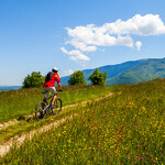 Mountain bike circuit 7 - La Cuséenne (Centre VTT-FFC de l'Albanais)