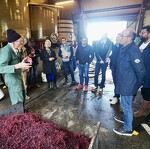 VinoVoyages - Wine tours & Events