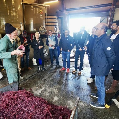 VinoVoyages - Wine tours & Events