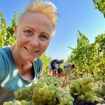 VinoVoyages - Wine tours & Events