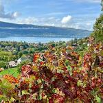 VinoVoyages - Wine tours & Events