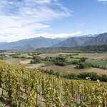 VinoVoyages - Wine tours & Events