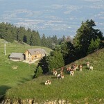Chalet de l'Abbaye