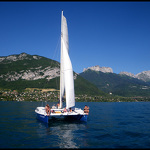 The Boat
