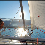 The Boat