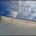 The Boat