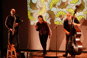 Spectacle familial "Les histoires du vent dans les cordes"