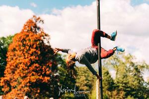 Spectacle "Sage sauvage – le roi triste"