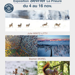 Exhibition "Grandeur Nature"_Sevrier