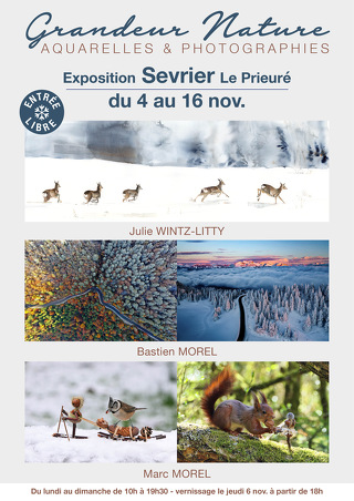 Exhibition "Grandeur Nature"
