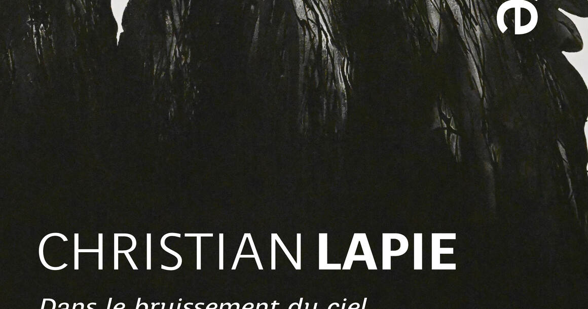 Exposition : Christian Lapie 