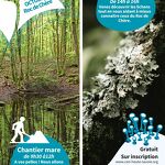 Chantier Mare_Talloires-Montmin