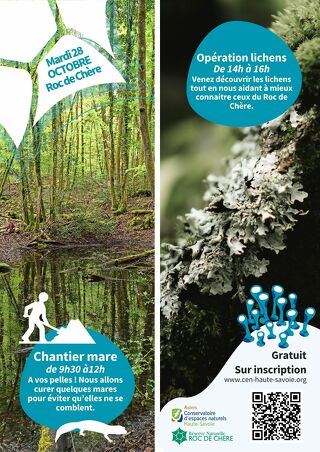 Opération lichen, à vous de jouer !