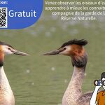 Outing: Waterfowls_Doussard