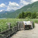 Walking trail in the Bout du Lac d'Annecy nature reserve