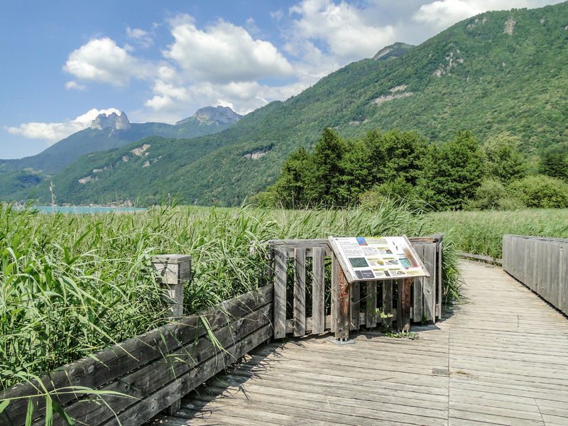 Walking trail in the Bout du Lac d'Annecy nature reserve