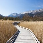 Walking trail in the Bout du Lac d'Annecy nature reserve