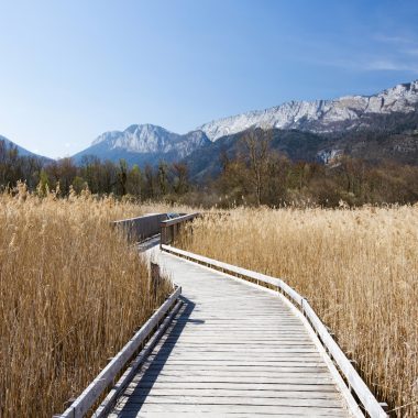 Walking trail in the Bout du Lac d'Annecy nature reserve