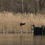 Walking trail in the Bout du Lac d'Annecy nature reserve