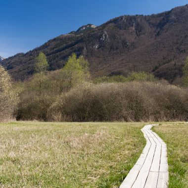 Walking trail in the Bout du Lac d'Annecy nature reserve