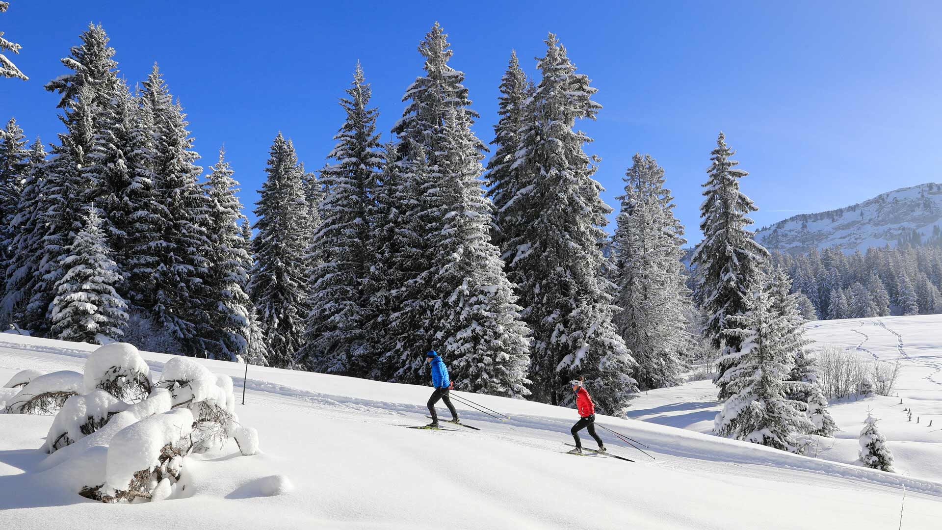 Nordic skiing at Les Glières