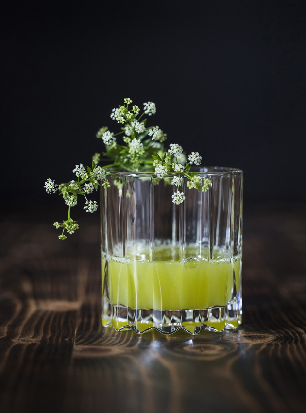 Cured féra, lovage, and horseradish juice