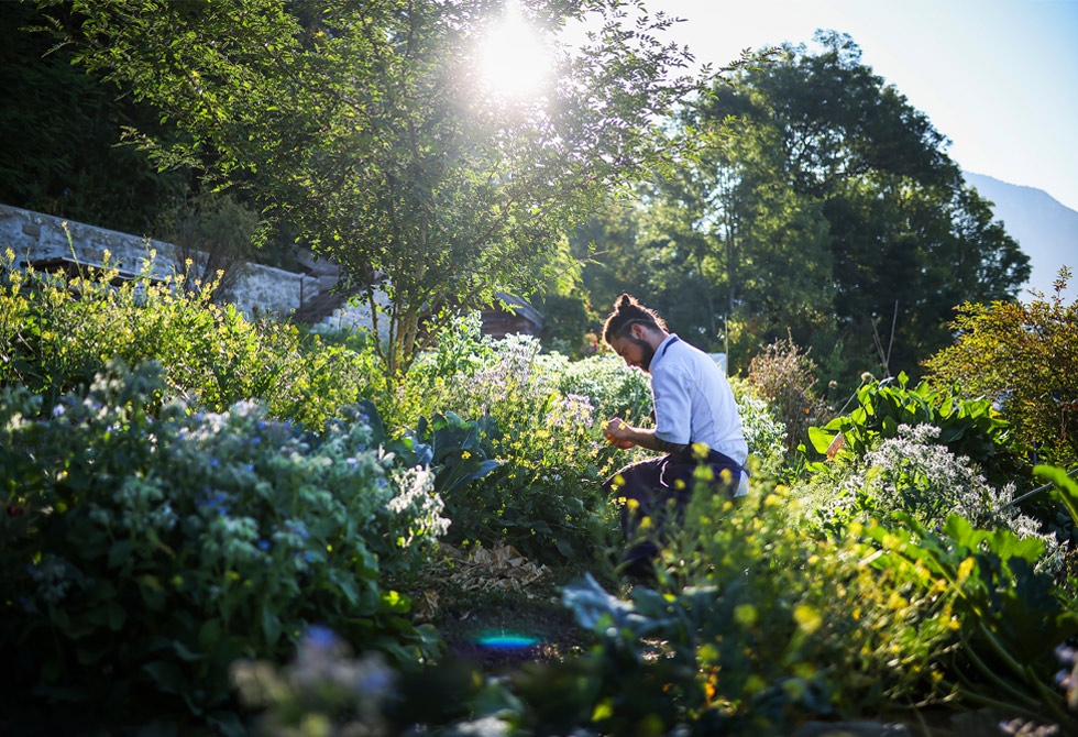 Permaculture garden