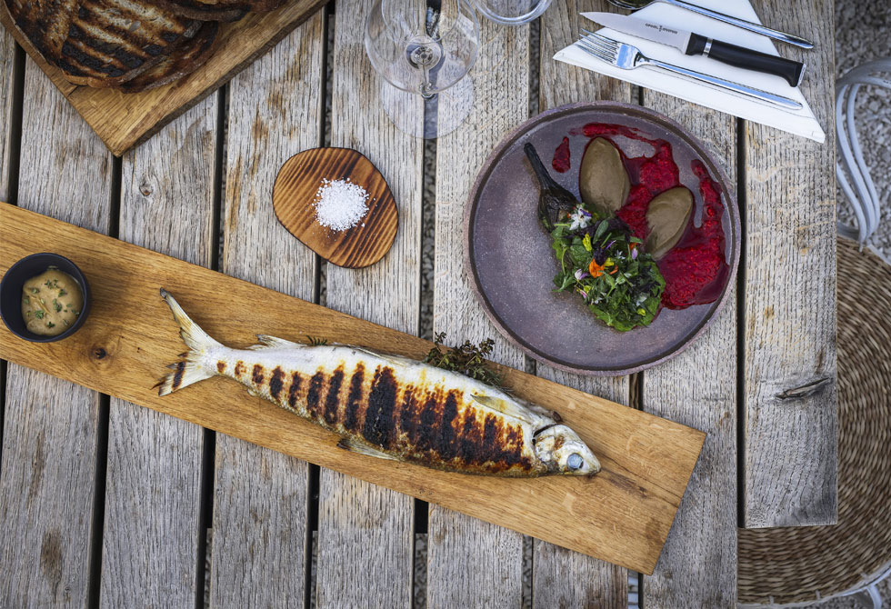 Grilled fera fish, rhubarb condiment