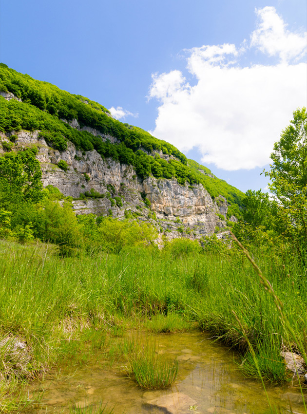 Mandallaz Hill